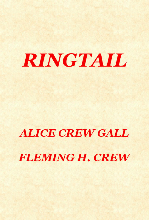 Ringtail
