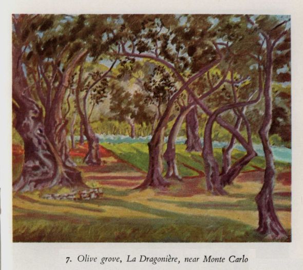 Olive Grove near Monte Carlo