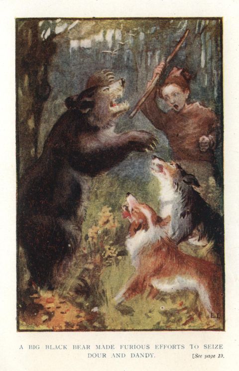 A BIG BLACK BEAR MADE FURIOUS EFFORTS TO SEIZE DOUR AND DANDY.  <I>See page 19</I>.