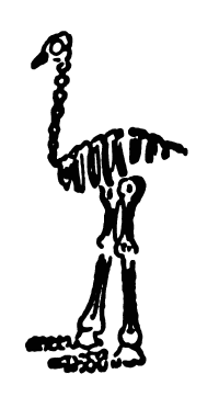 [Image unavailable.]