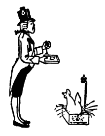 [Image unavailable.]