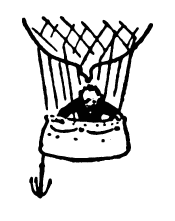 [Image unavailable.]