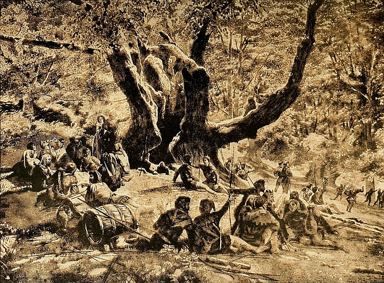 ROBIN HOOD AND HIS MERRY MEN IN SHERWOOD FOREST.