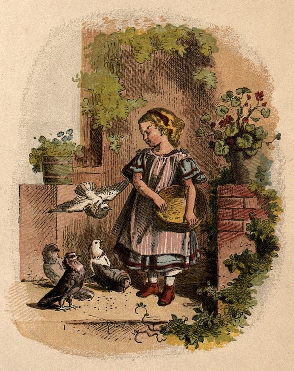 A girl feeding the birds