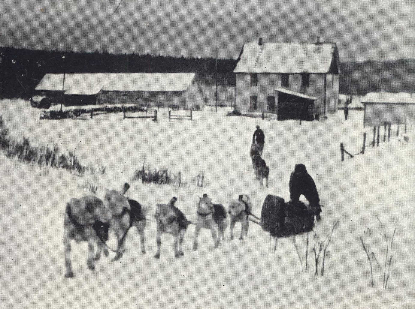 Men travelling by dog sled in winter