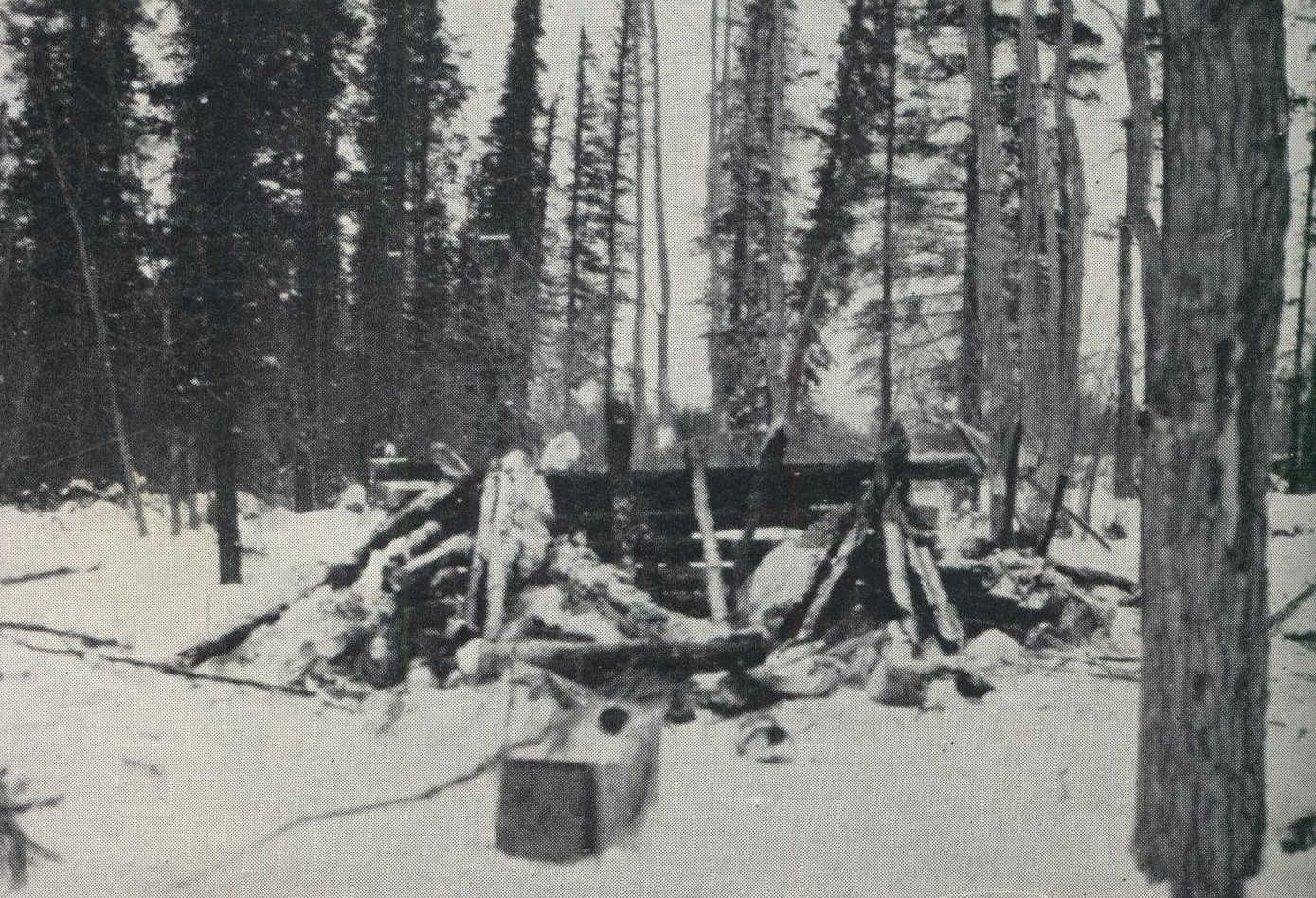 Destroyed hut in forest wilderness