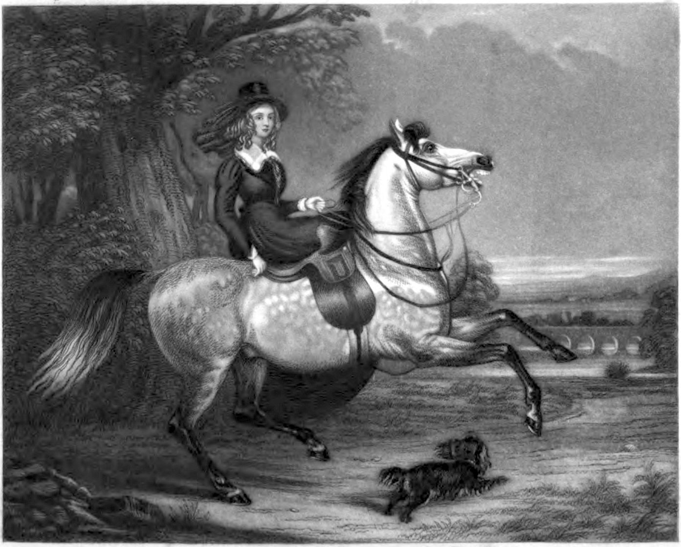 A lady on horseback