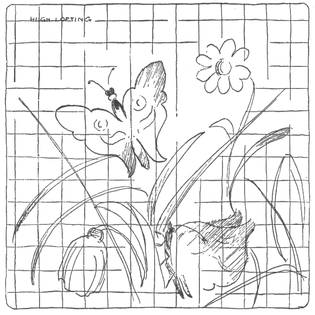 moth and butterflies