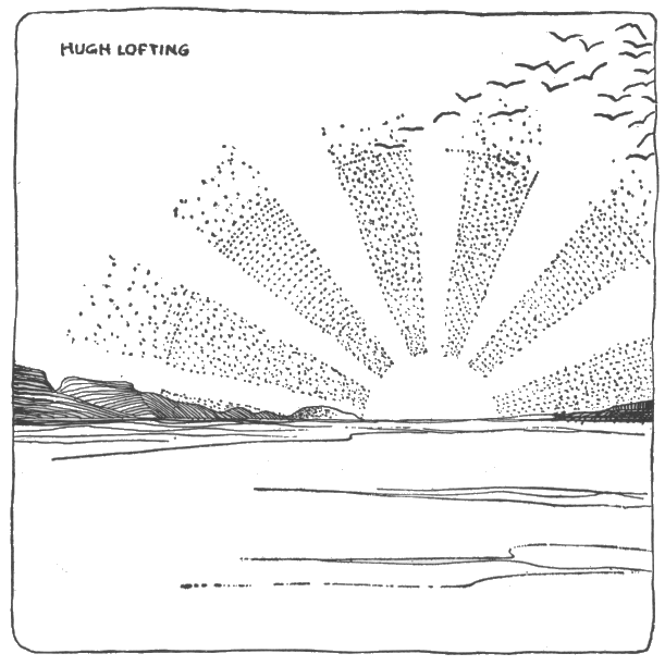 a low line of something