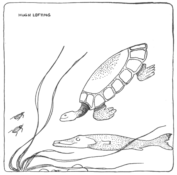 through murky waters