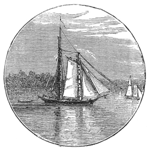 [Image unavailable.]