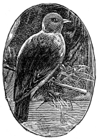 [Image unavailable.]