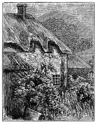 [Image unavailable.]