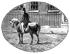 [Image unavailable.]