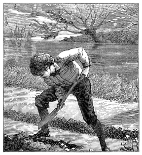 [Image unavailable.]