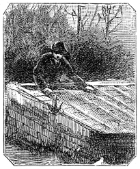 [Image unavailable.]