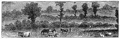 [Image unavailable.]