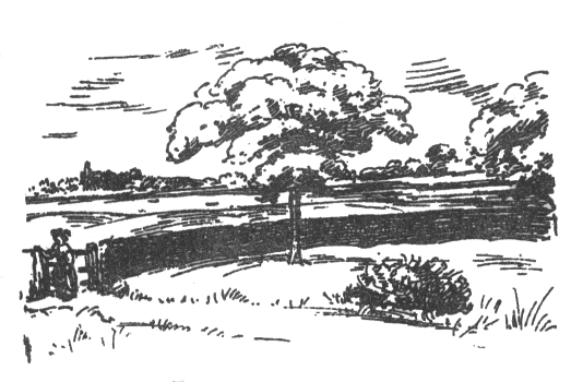 stile near the copse