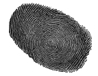 fingerprint