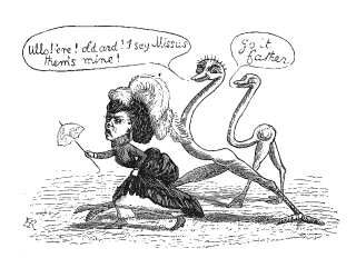 woman chased by birds