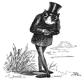 frog in a tophat