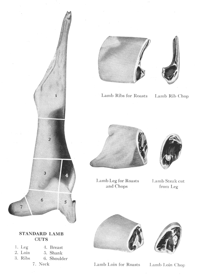 lamb cuts
