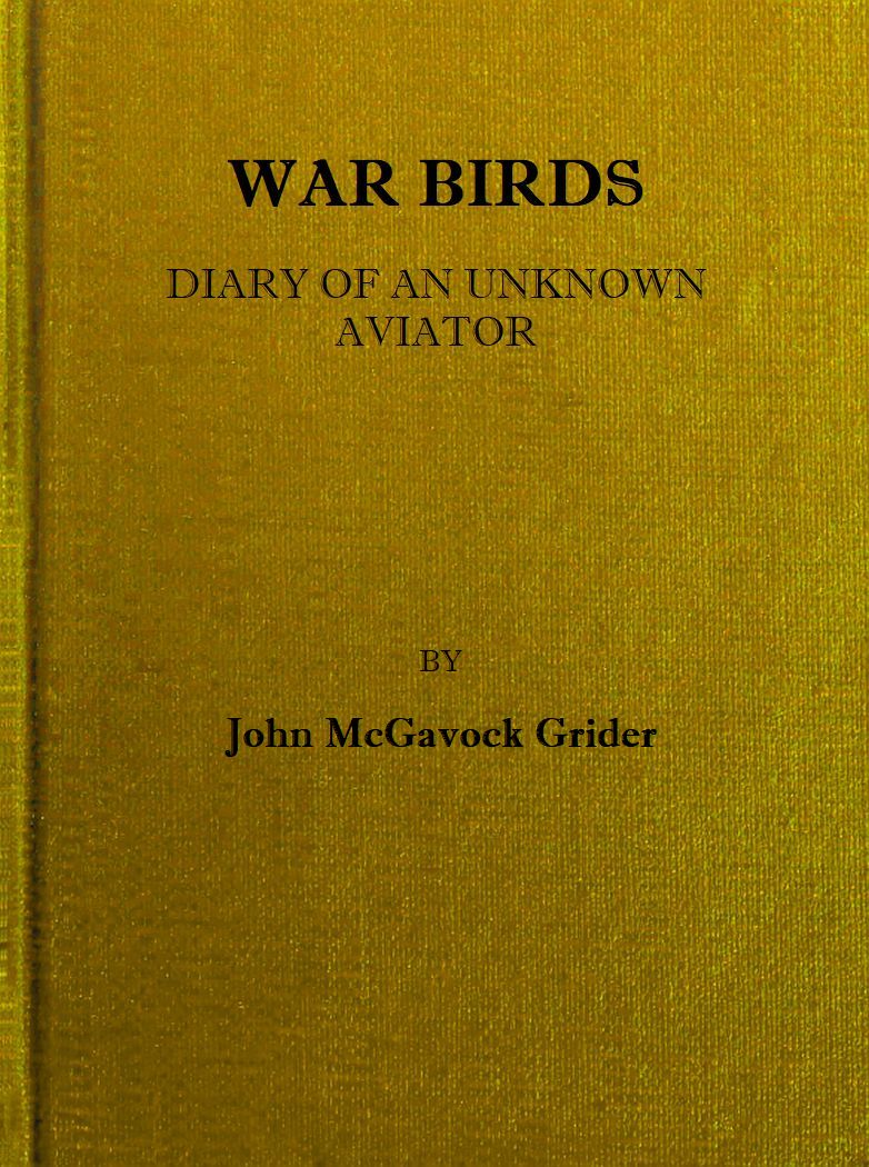 War Birds--Diary of an Unknown Aviator