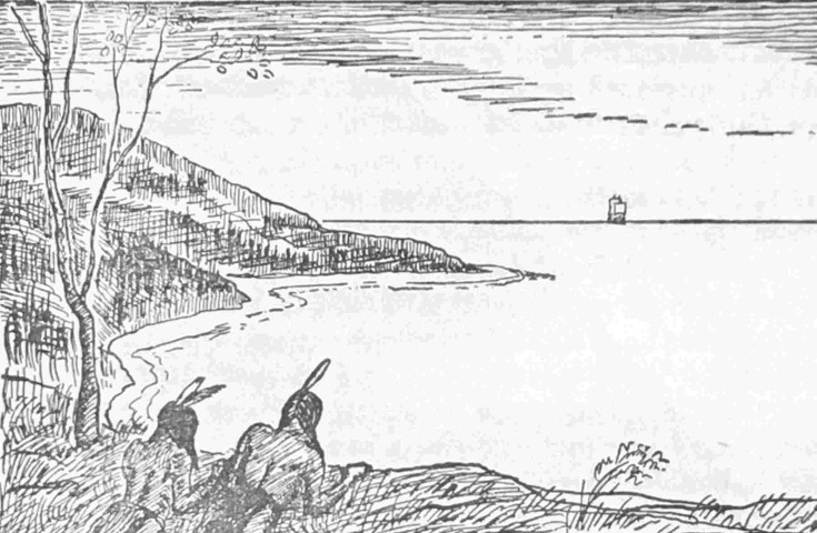 The Coming of the Palefaces