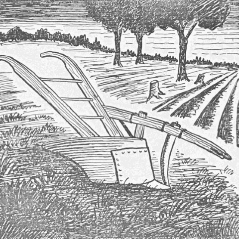 People of the Settlements