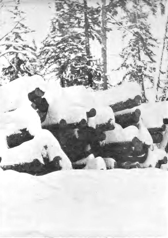 a logjam during spring runoff and an image of logs covered in snow