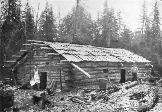 a large log building in the forest