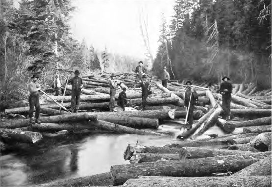 men standing on logs