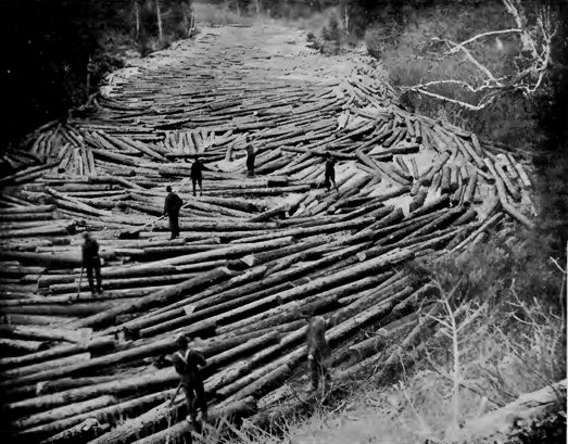 a horse-drawn sledge full of logs, and an image of men standing on logs in a river