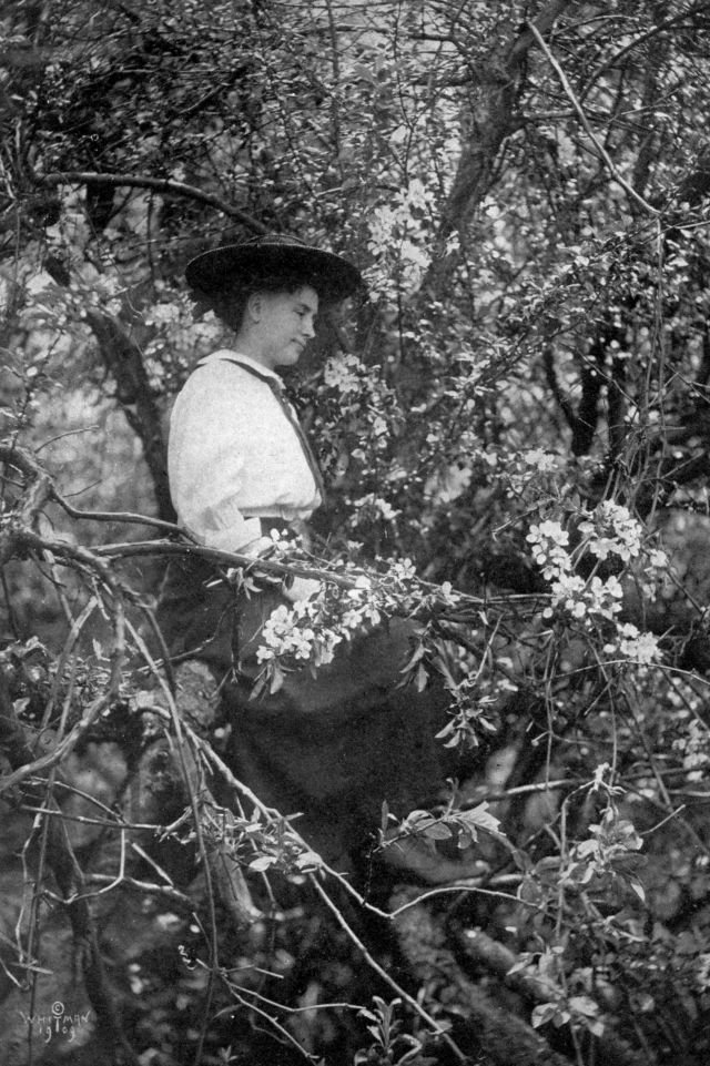 Helen is wearing a hat and sitting in a flowering tree