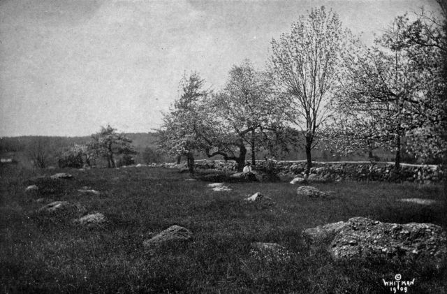 a grassy field with scattered rocks and a few trees