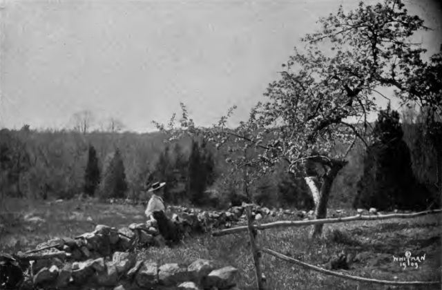 Helen is sitting on a low wall and looking out over a field