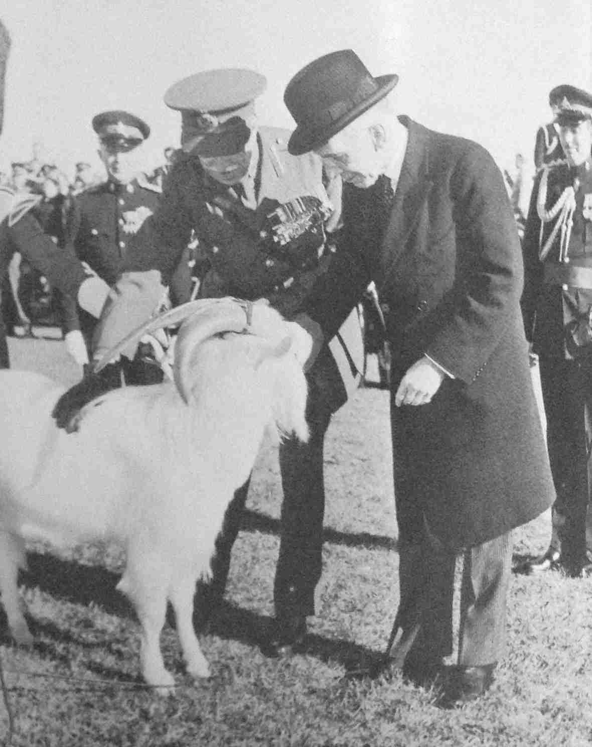 Presentation of mascot, Batisse, to Royal 22e Régiment