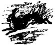 drawing of a hare