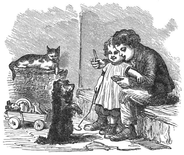 A boy is sitting holding a small girl while a dog is standing on its hind legs and a cat is watching