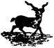drawing of a stag