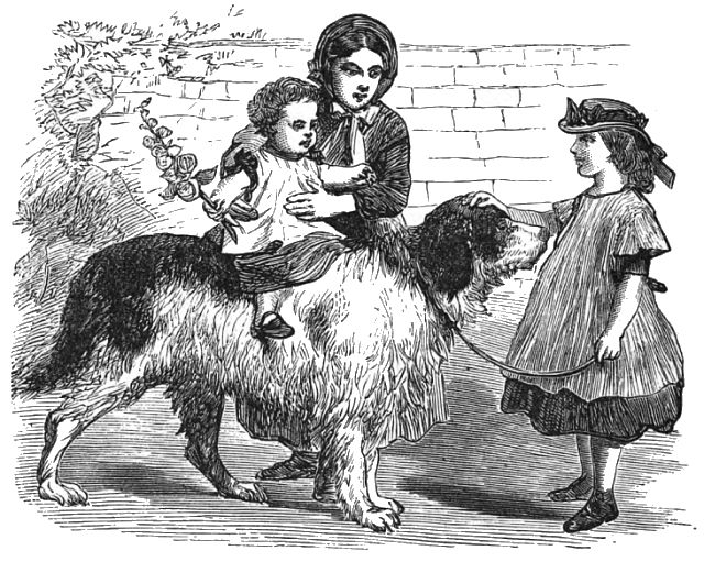 A small child is riding on the back of a dog while another child is holding him and a third child is hold the dog&#x27;s leash