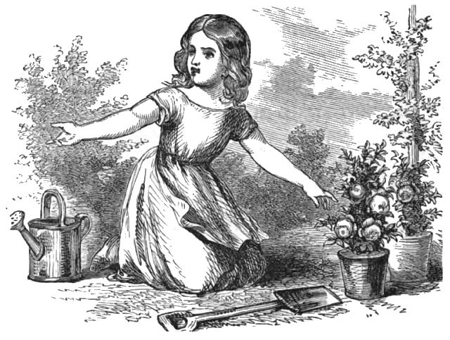 A girl is tending to various plants in a small garden