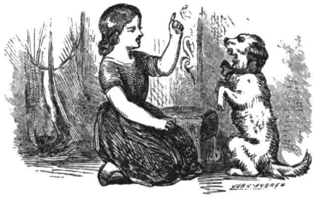 A girl is pointing up as a dog sits up next to her