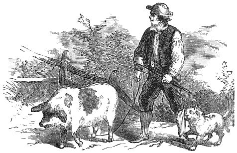 a man is standing betweenn a pig and a dog
