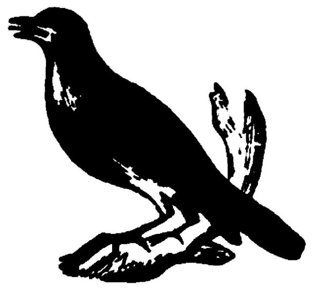 illustration of a bird sitting on a branch