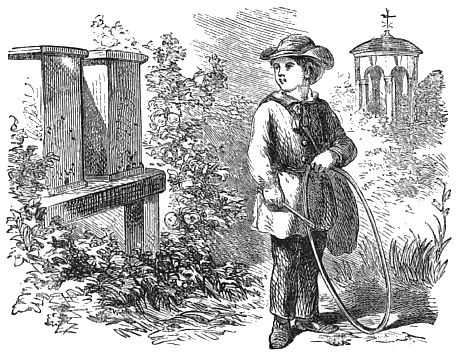 A boy is standing in a garden next to two bee hives. The boy has a hoop in his hand.