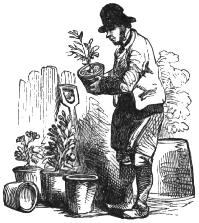 a man with several potted plants next to him