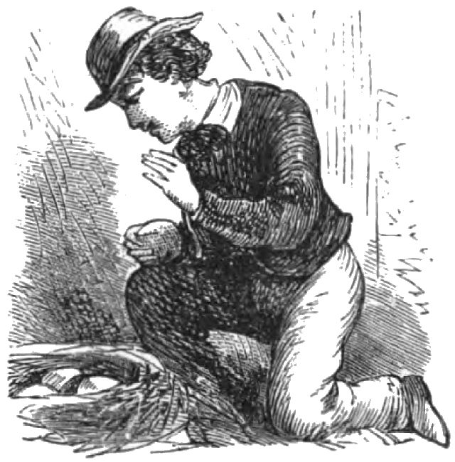 a boy wearing a hat is leaing over a nest