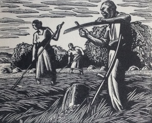 People tending a crop