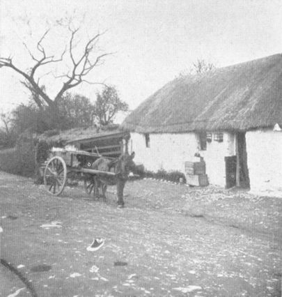 photo of a wagon in front of a thatched cottage